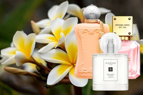 best frangipani perfume.